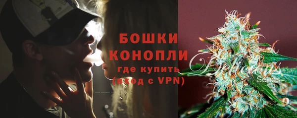 тгк Новозыбков