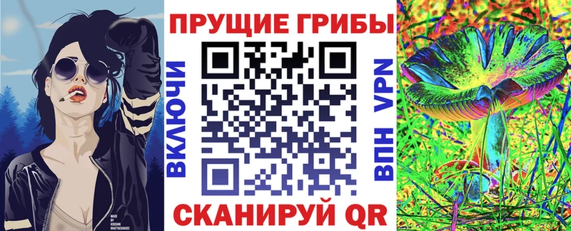 дарнет шоп  Владивосток  Галлюциногенные грибы Cubensis 
